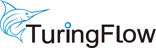 TuringFlow 图灵环流